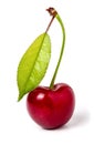 One cherry with leaf closeup isolated on white background Royalty Free Stock Photo