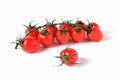 one cherry tomato on a background of cherry twig, white background Royalty Free Stock Photo