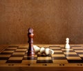 One chess king dominating another Royalty Free Stock Photo