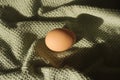 one chicken egg on a green towel. Home kitchen idea Royalty Free Stock Photo