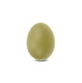 One chicken egg isolated on a white background Royalty Free Stock Photo