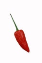 one chili peppers white background Royalty Free Stock Photo