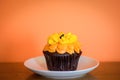 Single Chocolate cupcake on white plate Royalty Free Stock Photo