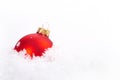 Christmas beautiful red ball with snow on white background Royalty Free Stock Photo