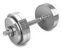 One chrome dumbbell isolated on a white background. 3d render. 3d illustration