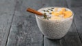One cinnamon stick in a glass bowl with Chia seed pudding with milk Royalty Free Stock Photo