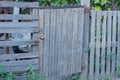 One closed old wooden door on the gray wall Royalty Free Stock Photo