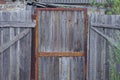 One closed old wooden door on the gray wall Royalty Free Stock Photo
