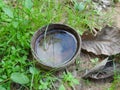 One coconut shell has water. Causes the mosquito to lay eggs Causing dengue fever outbreak in Thailand