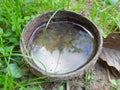 One coconut shell has water. Causes the mosquito to lay eggs Causing dengue fever outbreak in Thailand