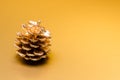 One colden pine cone on golden background with copy space