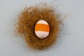 One colored egg on a blue background in a nest of copyspace for text Royalty Free Stock Photo