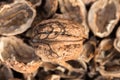 One complete walnut with cracked walnut shells. Pieces of nutshells. Close up. Royalty Free Stock Photo