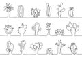 One continuous line cactus stripes. Hand drawn botanical plants, different types of mexican desert cactus vector