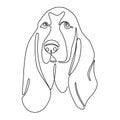 One continuous line drawing Basset Hound vector Image. Single line minimal style dog portrait. Cute beagle puppy black