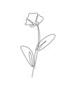 One continuous line drawing beautiful abstract poppy flower. Minimal fresh beauty natural concept. Home wall decor, poster, tote Royalty Free Stock Photo