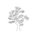 One continuous line drawing of beauty cherry blossom tree for home art wall decor poster print. Decorative sakura plant for