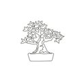 One continuous line drawing beauty and exotic mini bonsai tree for home wall decor art poster print. Old potted bonsai concept for