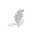 One continuous line drawing of beauty fresh amaranthus for home wall decor ar poster print. Decorative amaranth flower concept for