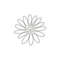 One continuous line drawing of beauty fresh bellis perennis. Printable decorative poster common daisy flower concept for wall home