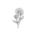 One continuous line drawing of beauty fresh calendula for garden logo. Printable decorative marigold flower concept for home wall