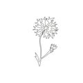 One continuous line drawing of beauty fresh centaurea cyanus for home decor wall art poster print. Decorative cornflower concept