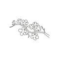 One continuous line drawing of beauty fresh cherry blossom for garden logo. Printable decorative sakura flower for home wall decor