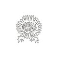 One continuous line drawing of beauty fresh chrysanthemum for garden logo. Printable decorative chrysanth flower concept for