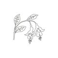 One continuous line drawing of beauty fresh fuchsia for home wall decor poster print art. Decorative shrubs flower plant concept