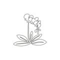 One continuous line drawing of beauty fresh lily for home wall art decor poster. Printable sword gladius flower concept for Royalty Free Stock Photo