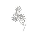 One continuous line drawing beauty fresh witch hazels for home art wall decor poster print. Decorative deciduous shrubs plant