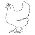 One continuous line drawing of a chicken to identify the poultry logo