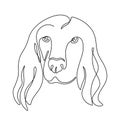 One continuous line drawing Cocker Spaniel vector Image. Single line minimal style dog portrait. Cute puppy black linear Royalty Free Stock Photo