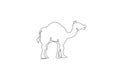 One continuous line drawing of cute Arabian camel. Wild animal national park conservation. Safari zoo concept. Dynamic single line