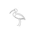 One continuous line drawing of cute ibis for company logo identity. Long legged wading bird mascot concept for national zoo icon.