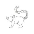 One continuous line drawing of cute lemur with long ring tailed for logo identity. Marsupial animal mascot concept for national