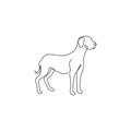 One continuous line drawing of dashing great dane dog for security company logo identity. Purebred dog mascot concept for pedigree