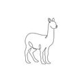 One continuous line drawing of funny alpaca for farm logo identity. Domesticated mammal animal mascot concept for livestock icon.