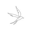 One continuous line drawing of luxury swallow for company logo identity. Cute bird mascot concept for organic food symbol. Dynamic