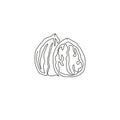 One continuous line drawing of whole healthy organic walnut food for plantation logo identity. Fresh nutshell concept for healthy