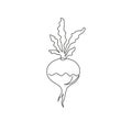 One continuous line drawing of whole healthy organic white turnip for farm logo identity. Fresh plant concept for root vegetable Royalty Free Stock Photo