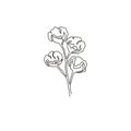 One continuous line drawing of whole soft and fluffy cotton flower for farming logo identity. Staple fiber flower concept for