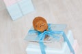 One cool small brown guinea pig pet animal sitting on silver box with blue tape during holiday of merry christmas or happy
