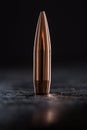 One copper bullet with bright reflections