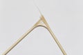 One cracked broken wooden bamboo stick twig torn to fiber fibers on a white gray background