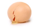 One cracked egg Royalty Free Stock Photo