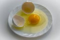 One cracked egg with yellow yolk surrounded by egg shells Royalty Free Stock Photo