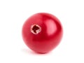 One cranberry closeup . Royalty Free Stock Photo