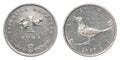 One croatian Kuna coin Royalty Free Stock Photo