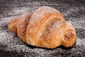 One croissant sprinkled with powdered sugar on black stone background closeup